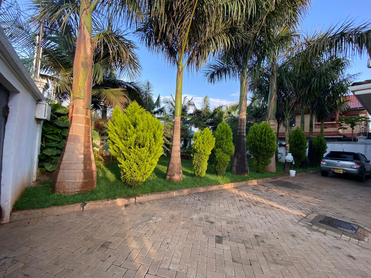 A well-maintained lawn with a paved driveway, surrounded by lush green shrubs and tall palm trees. 